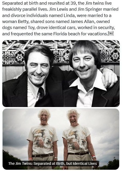 Близнецов Джима Льюиса и Джима Спрингера разлучили, ко...