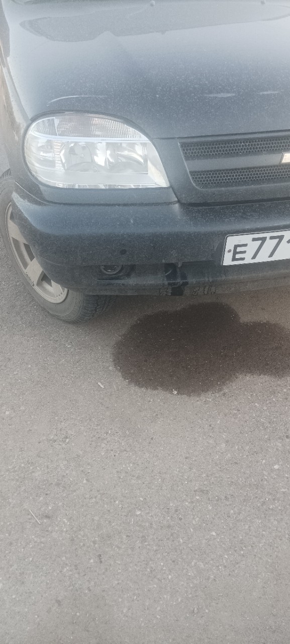 Бачок похоже течет