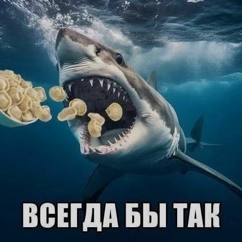 Ночная подборочка
Выходные, не спим