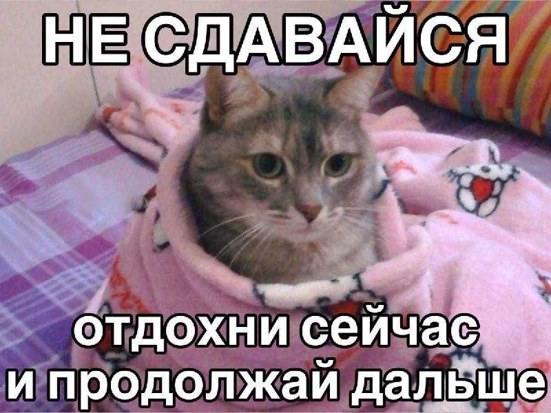 Утренняя подборочка