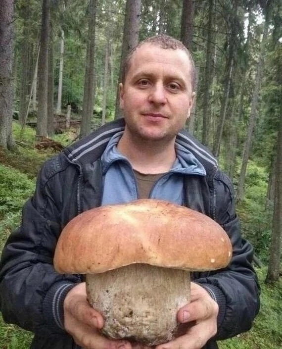 ❗️Земляки, как вам такой гриб? 😱