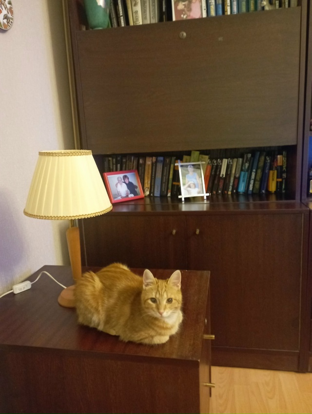 Сима притворилась хорошей девочкой... Но ещё не вечер!!!