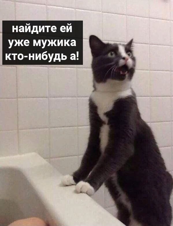 Самый надежный и не дорогой психолог😅