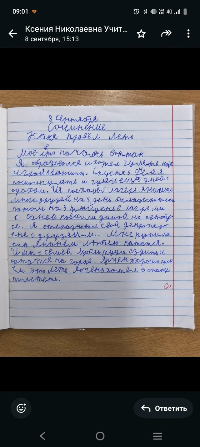 Мальчик, 10 лет 4 класс, что это? посоветуйте этапы работ?...