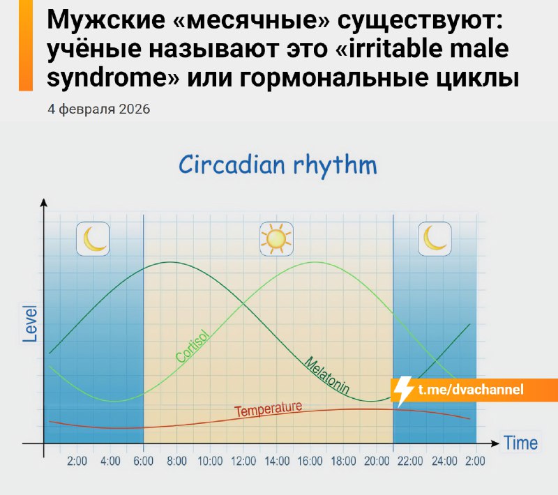 ⚡️У мужчин тоже есть свои «месячные», подтвердили учёные
Официально это называется «синдром мужской