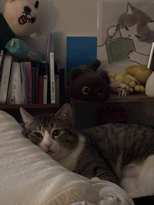 Ну када уже споть, я же жду тибя в кроватке :3