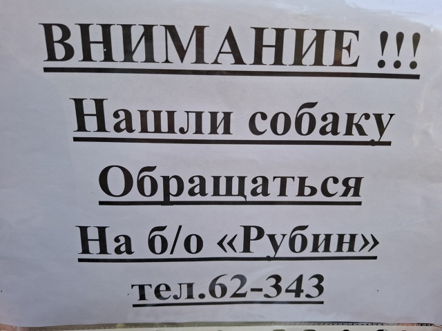 #ПотерялиНашлиПомогите
1 01.08 найден айфон в последней ...