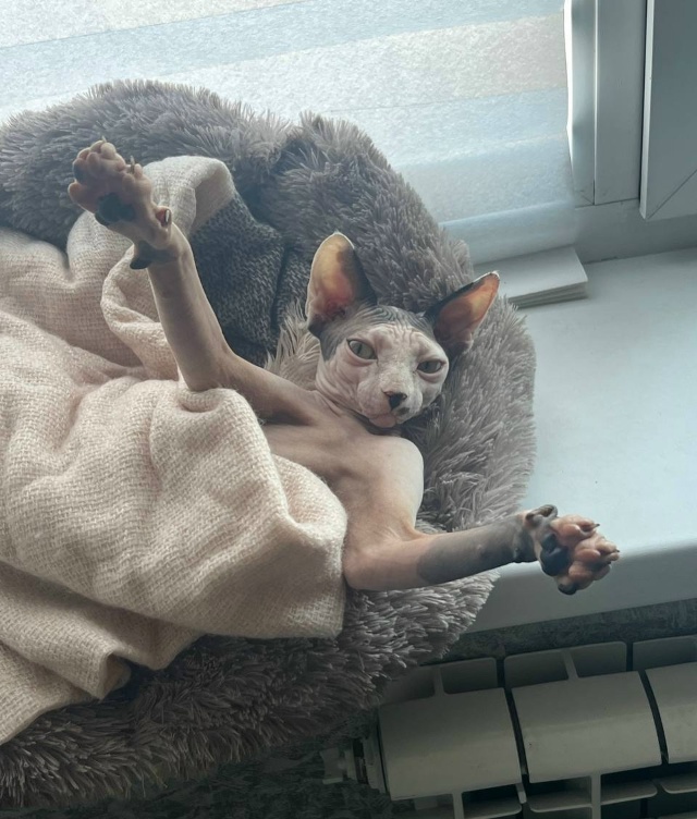 Желаю всем так же сладко отдыхать, как мартышка Майя