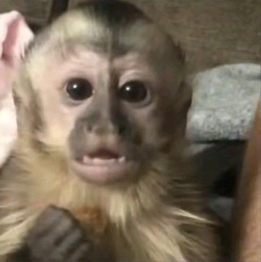 Ну и фамилия
Посмотрите только, какое необычное и выра...