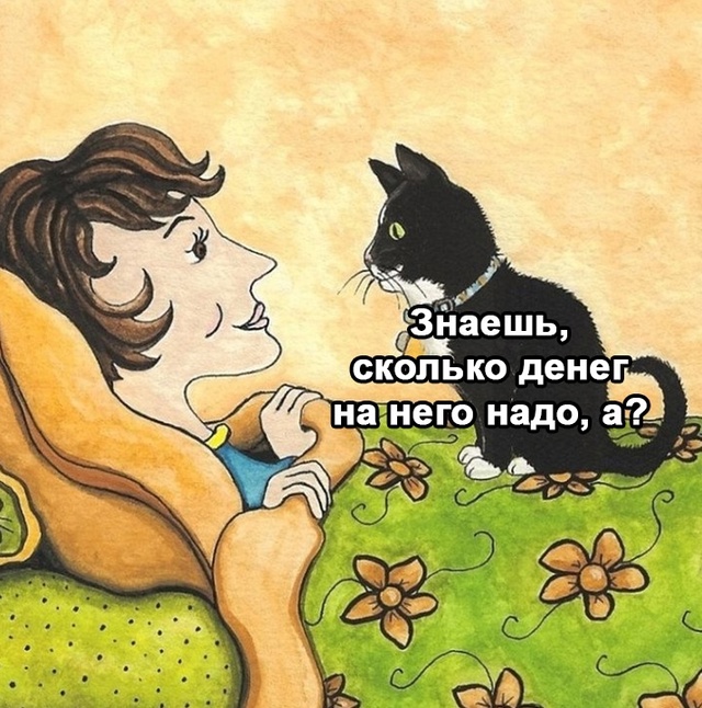 Мужик в доме - большие затраты!