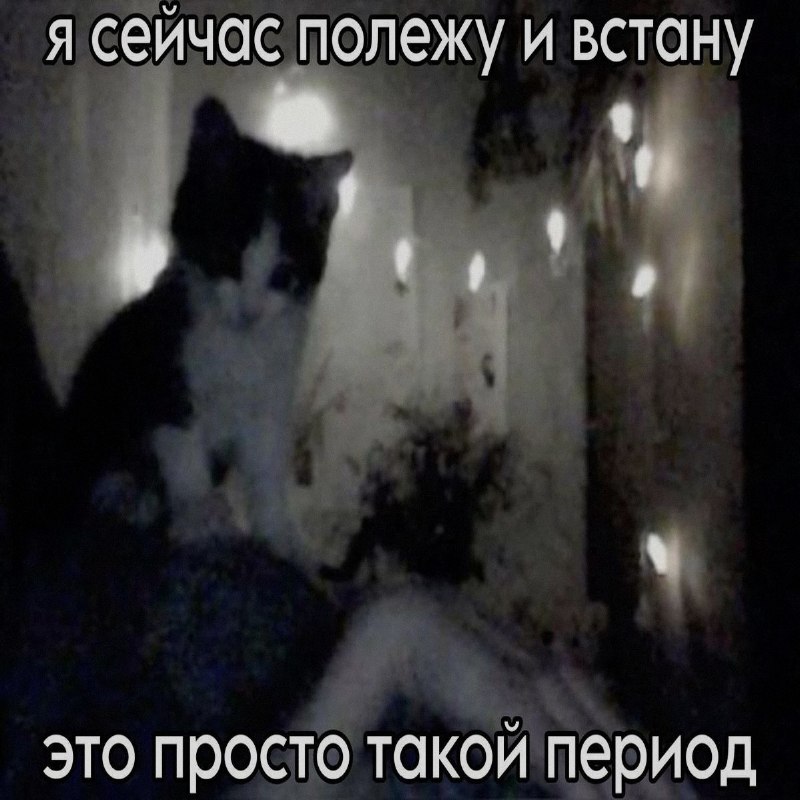 Ночная подборочка
Спать, режим