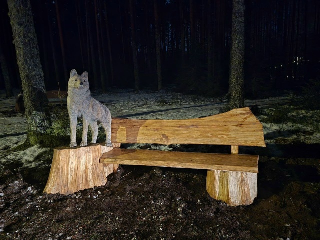 Новые шедевры в парке😍
Автор фото и работ Артём Степа?...