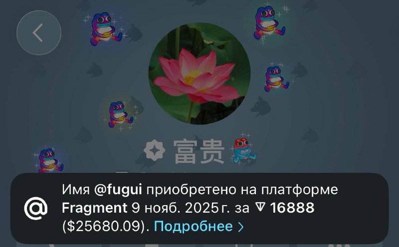 какая дурка? вы че угараете?