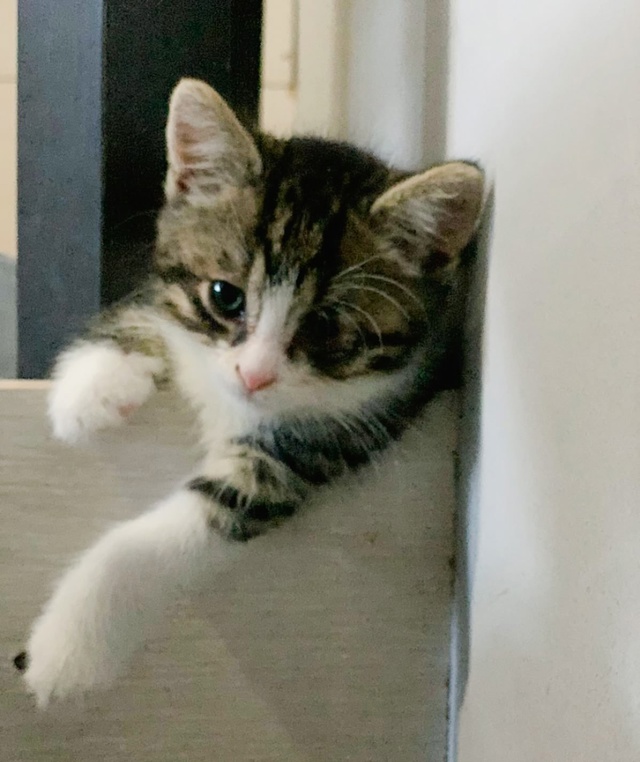 Друзья, привет от #котятасвокзальной
Со страхом и опас?...