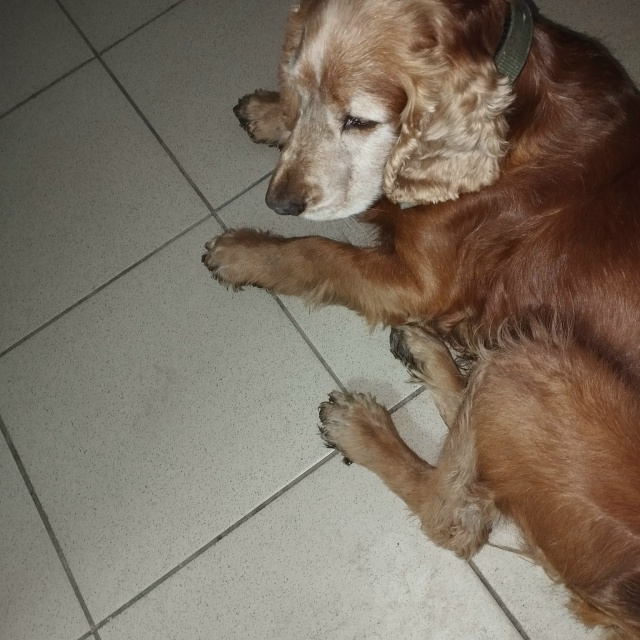 Помогите, пожалуйста, распространить🙏 (помогаю инфор?...