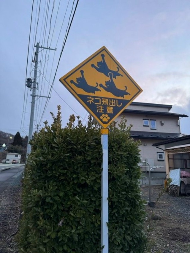 В некоторых районах Японии устанавливают специальные ...