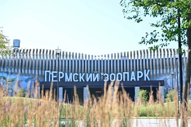 ‼️Срочная новость ‼️
⚡️️Пермский зоопарк откроет?...