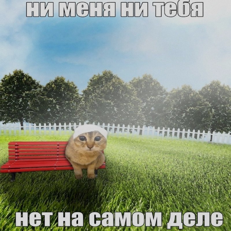 Ночная подборочка
Спать, режим