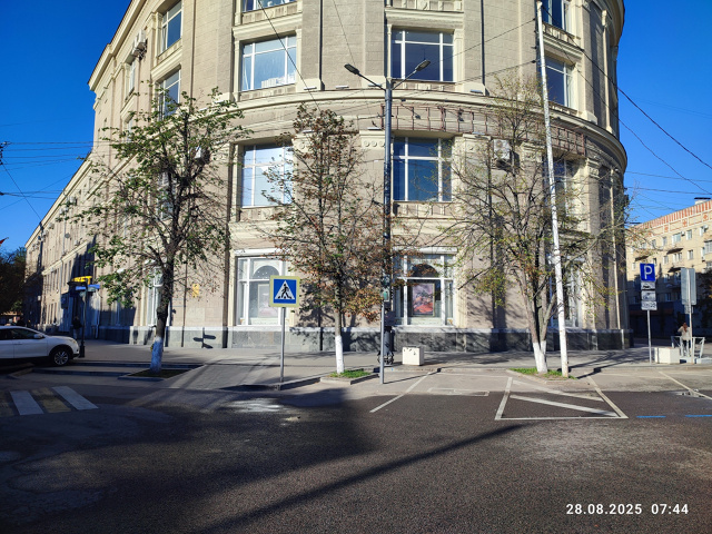 🥺На проспекте Революции вырубили липы во время ремон?...