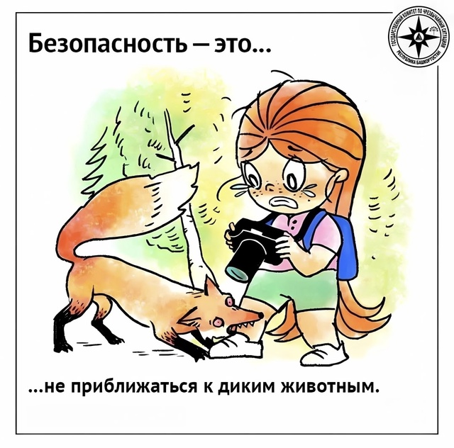 🛡️Безопасность — это…
Картинки от Учебно-методичес?...