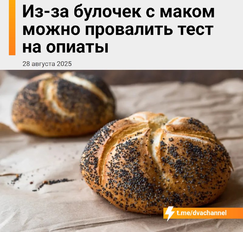 ❗️Любителей булочек с маком могут признать наркоманами: на рынке всё чаще встречается «грязный» мак
