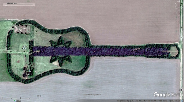 Педро Мартин Урета посадил огромную композицию в конц?...