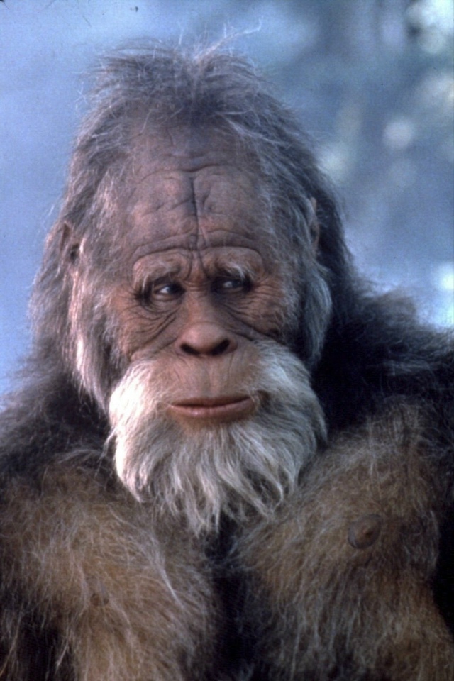 Многие его забыли...