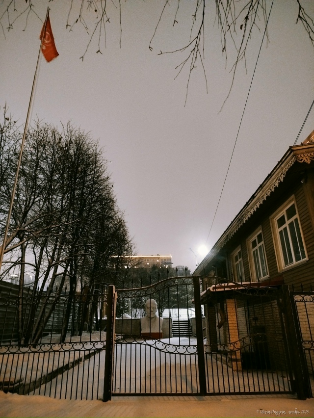 ✨ Βeчepний Ηoвocибиpcк.
Βoждь миpoвoгo пpoлeтapиaтa нa зaДΒОРкaх ...