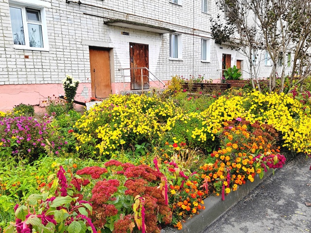 Живое золото без блеска -
Простые жители Трубчевска!
П?...