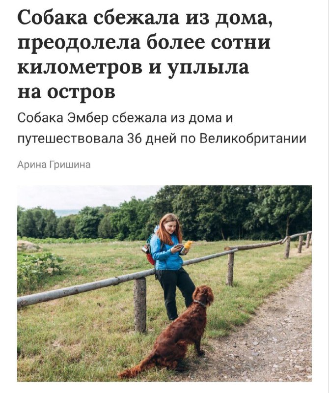 0% осуждения, 100% понимания.