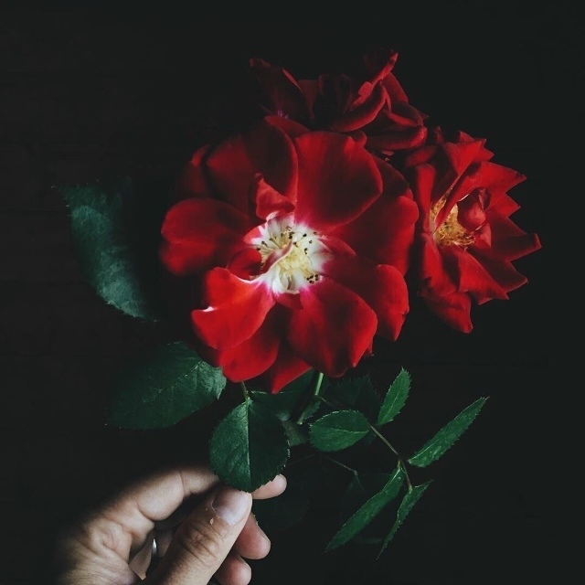 происходит только то, что должно происходить.
все начи...