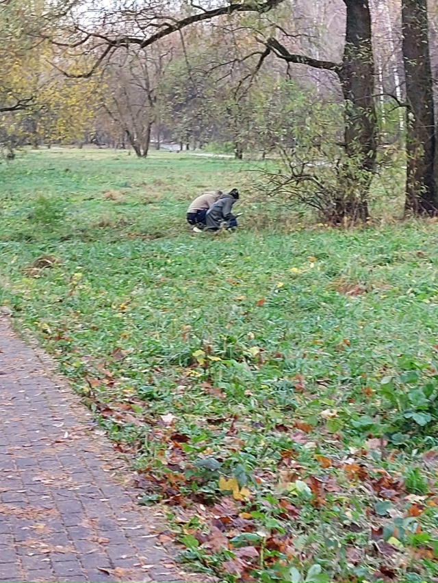 🗣️
Когда уже у нас в Воронеже полицией будут приняты ...