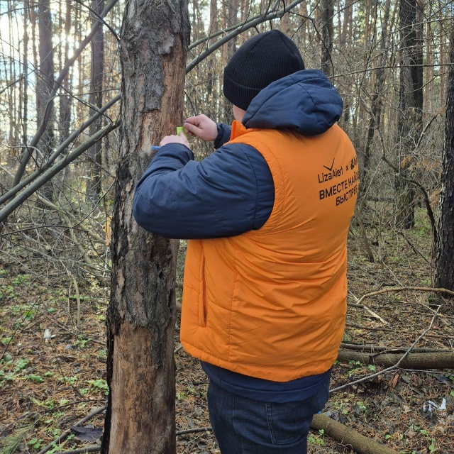 16 ноября поисково-спасательный отряд ЛизаАлерт Башкор...