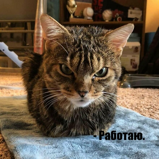 Про работу))