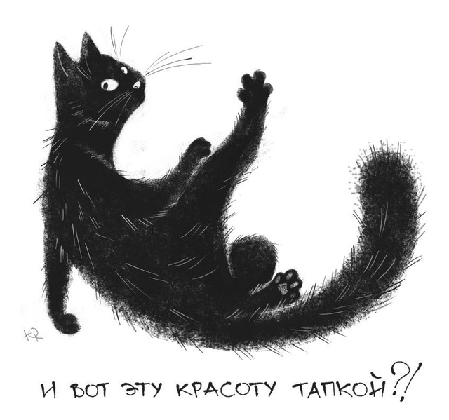 Заведи себе котика, говорили они..