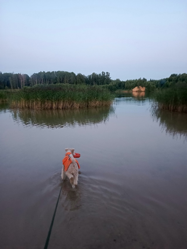 Оказывается, по дороге из Вельска в Вологду можно попа?...