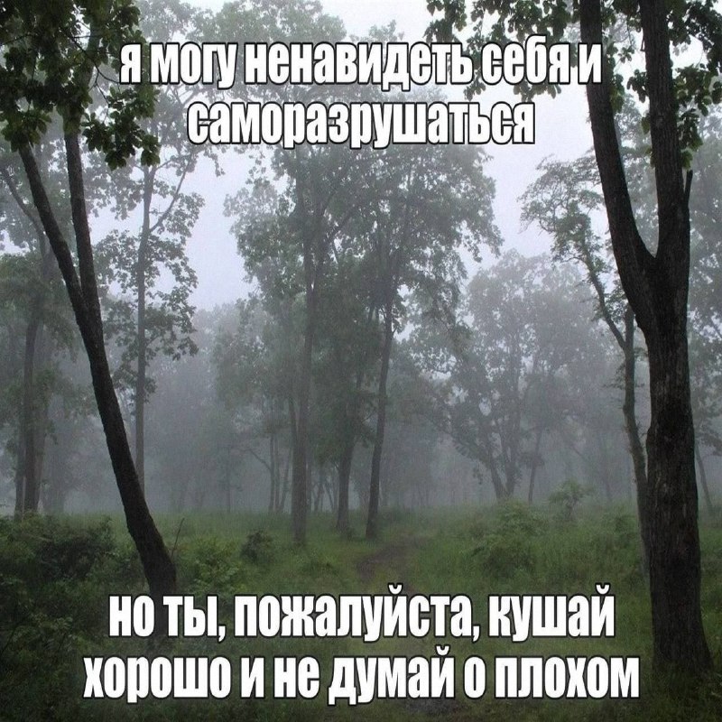 Утренняя подборочка