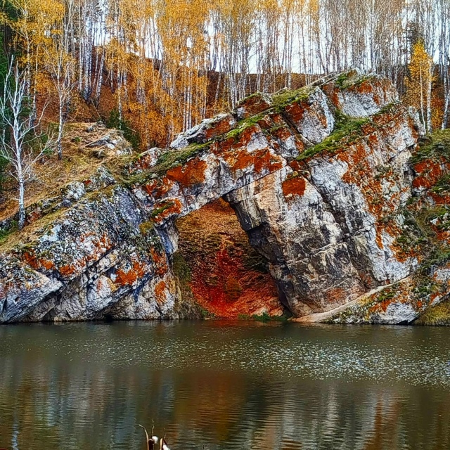Осенние пейзажи🍂