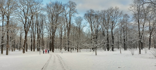 #сегоднявПетергофе 📸🐾