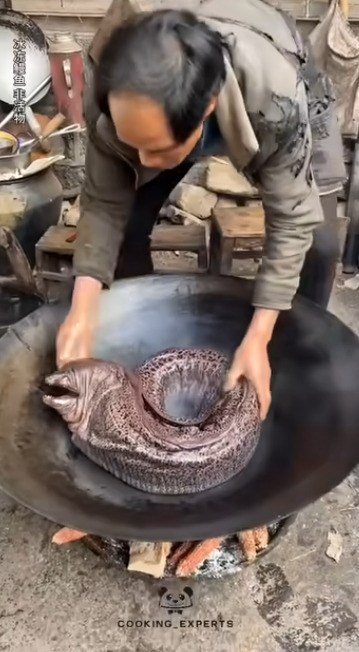 Это что они там приготовили?