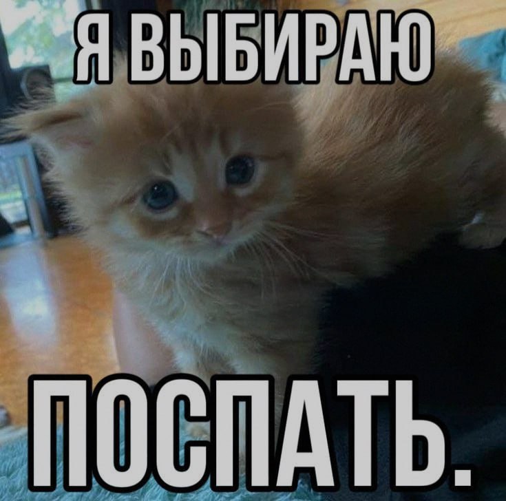 Ночная подборочка
Спать, режим