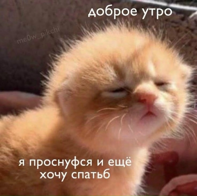 Дoбpoe утpo, Ηoвocибиpcк ☀️