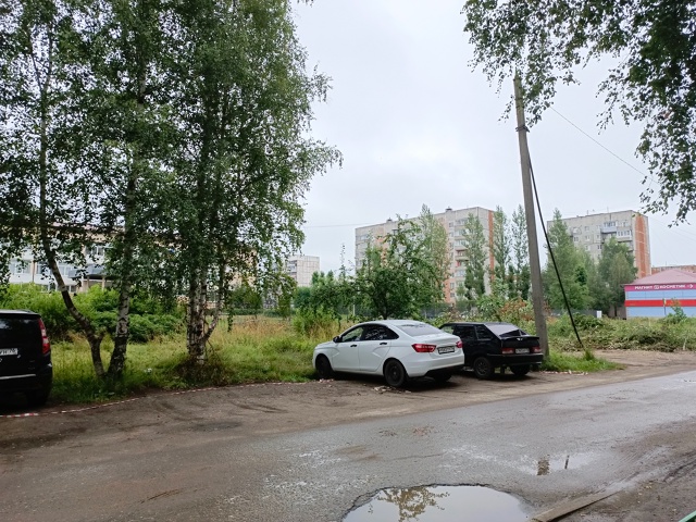Почему каждый раз благоустройство начинается с вырубк...