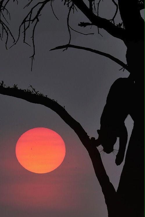 На закате....🌅