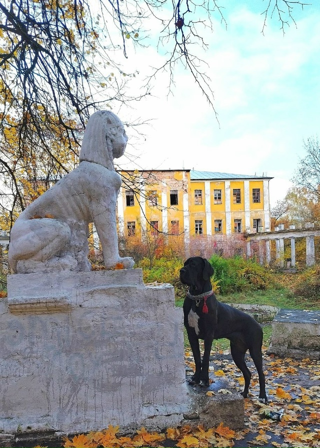 Усадьба Пехра-Яковлевское в осенних красках.
📸Натал?...