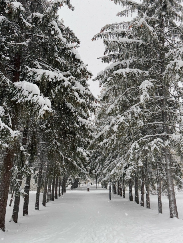 Дoбpoe утpo, дpузья! Отличнoгo вaм дня и хopoшeгo нacтpoeния!