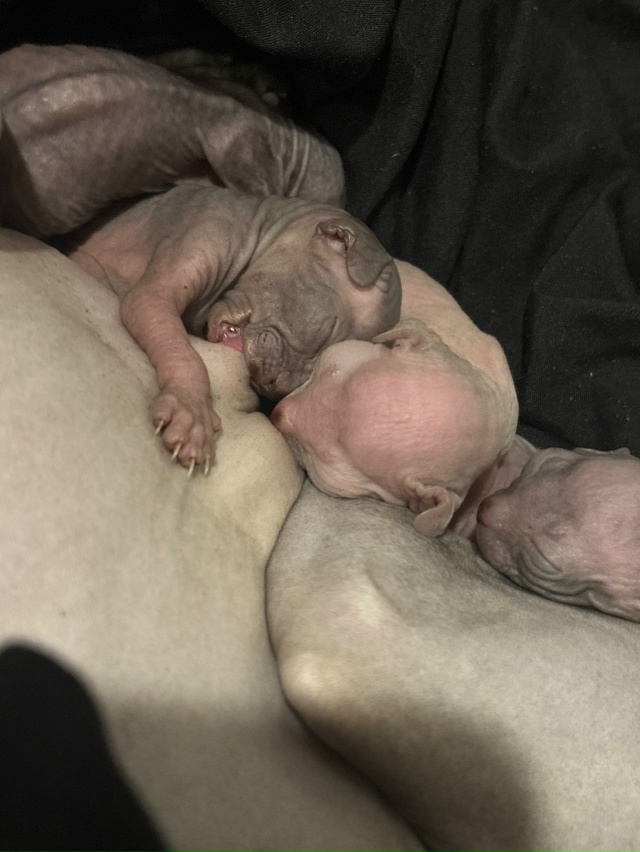 Чебурашка теперь мать❤️