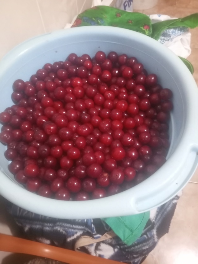 Продам вишню. Только что собрали. Вкусная. Александров...