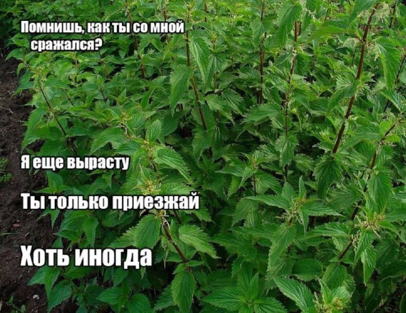 Утренняя подборочка