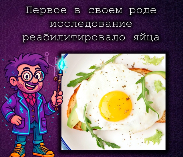 Австралийские ученые реабилитировали яйца: холестери?...